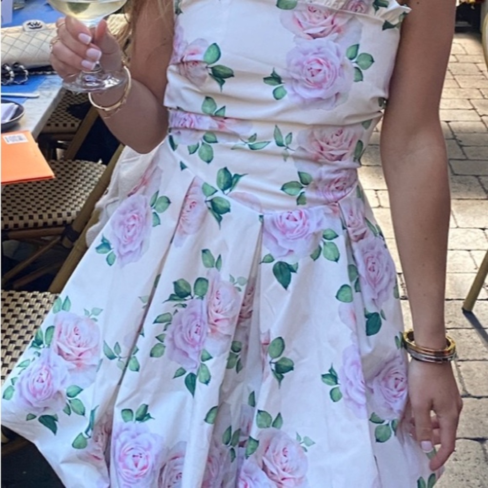 Aje Floral Mini Dress - White and Pink